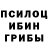 Псилоцибиновые грибы GOLDEN TEACHER Crazy BROS