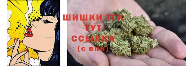 мдпв Бородино