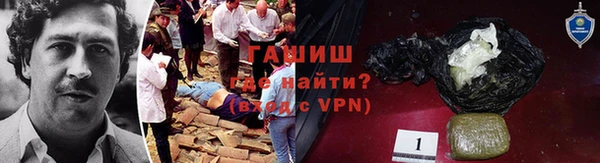 мдпв Бородино
