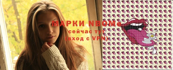 мдпв Бородино