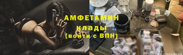 мдпв Бородино
