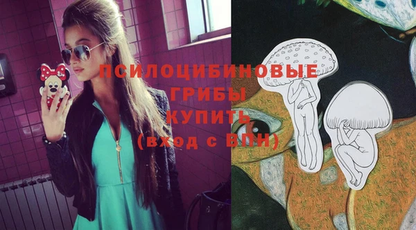 мдпв Бородино