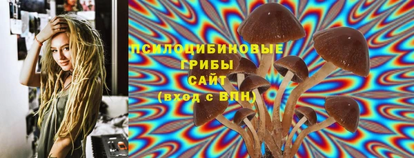мдпв Бородино