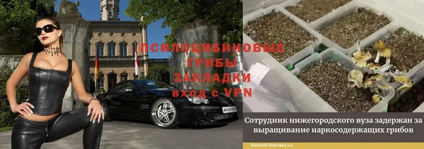 мдпв Бородино