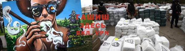 мдпв Бородино
