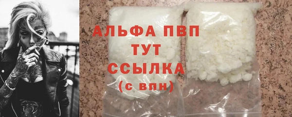 мдпв Бородино