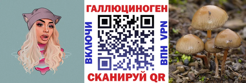 Галлюциногенные грибы Magic Shrooms  Купить где  Староминская 